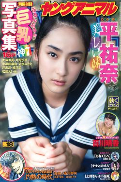 铁猴子传奇系列